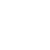 Expert Team